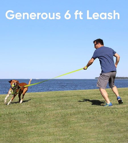 Pet Puppy Leash Reflective Dog Leash Comfortable Handle Highly Reflective Threads Heavy Duty Dog Training Leash Available as a 6 Ft Dog Leash or 4 Ft Dog Leash
