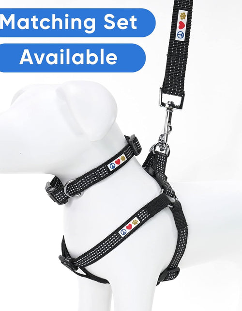 Load image into Gallery viewer, Pet Puppy Leash Reflective Dog Leash Comfortable Handle Highly Reflective Threads Heavy Duty Dog Training Leash Available as a 6 Ft Dog Leash or 4 Ft Dog Leash

